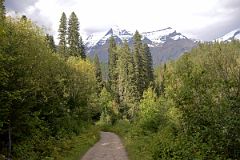 26 Mount Robson From Berg Lake Trail Near Parking Lot